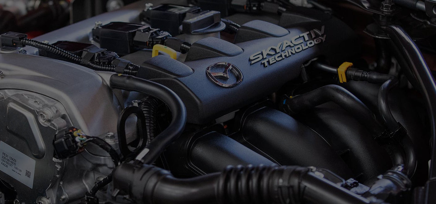 Engine Bay Cleaning